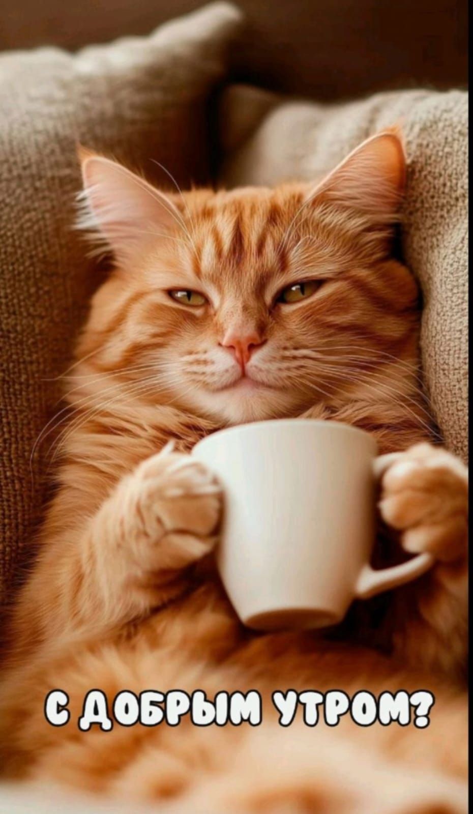 С ДОБРЫМ УТРОМ?