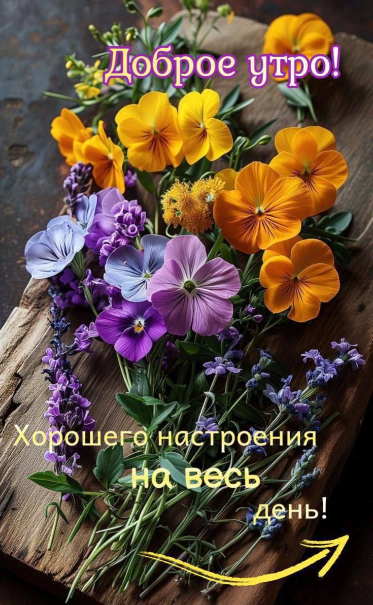 Доброе утро! Хорошего настроения на весь день!