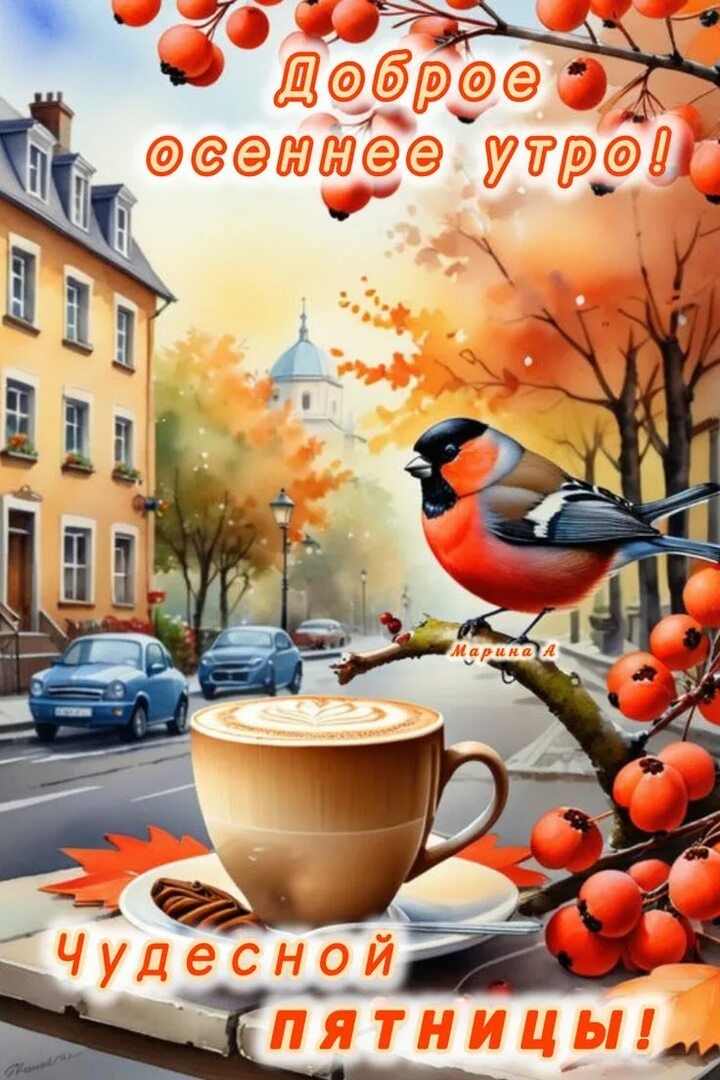 Доброе осеннее утро! Чудесной пятницы!