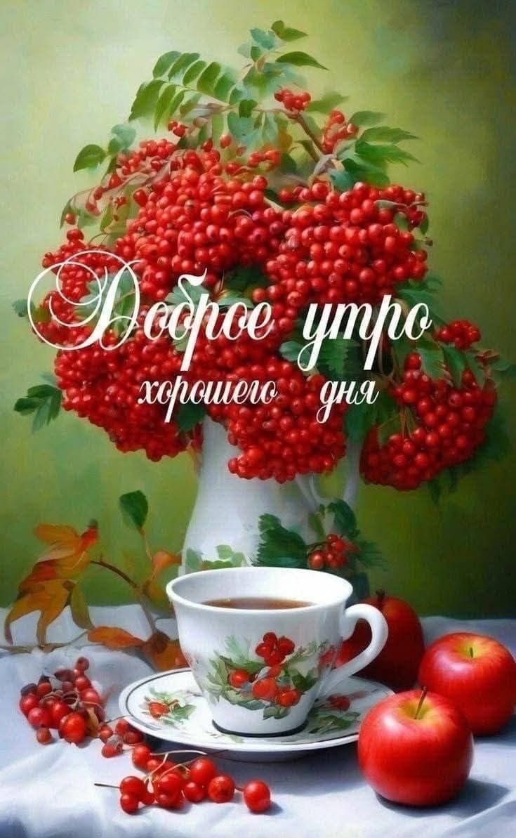 Доброе утро хорошего дня