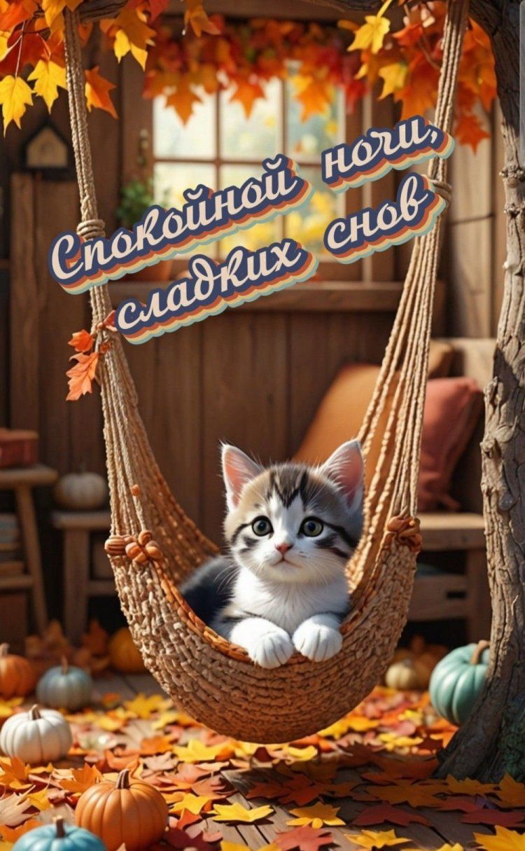 Спокойной ночи, сладких снов