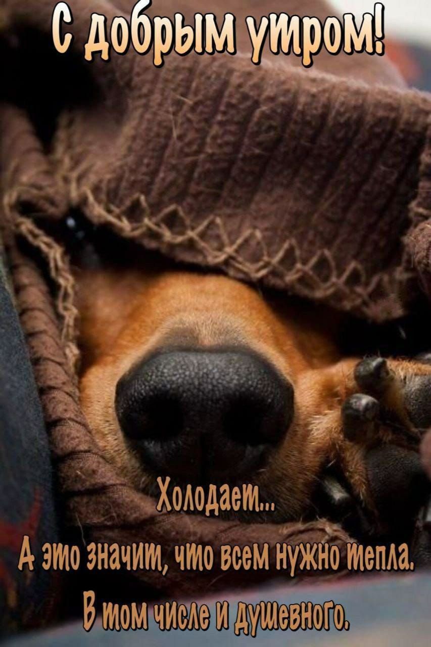 С добрым утром! Холодает... А это значит, что всем нужно тепла. В том числе и душевного.
