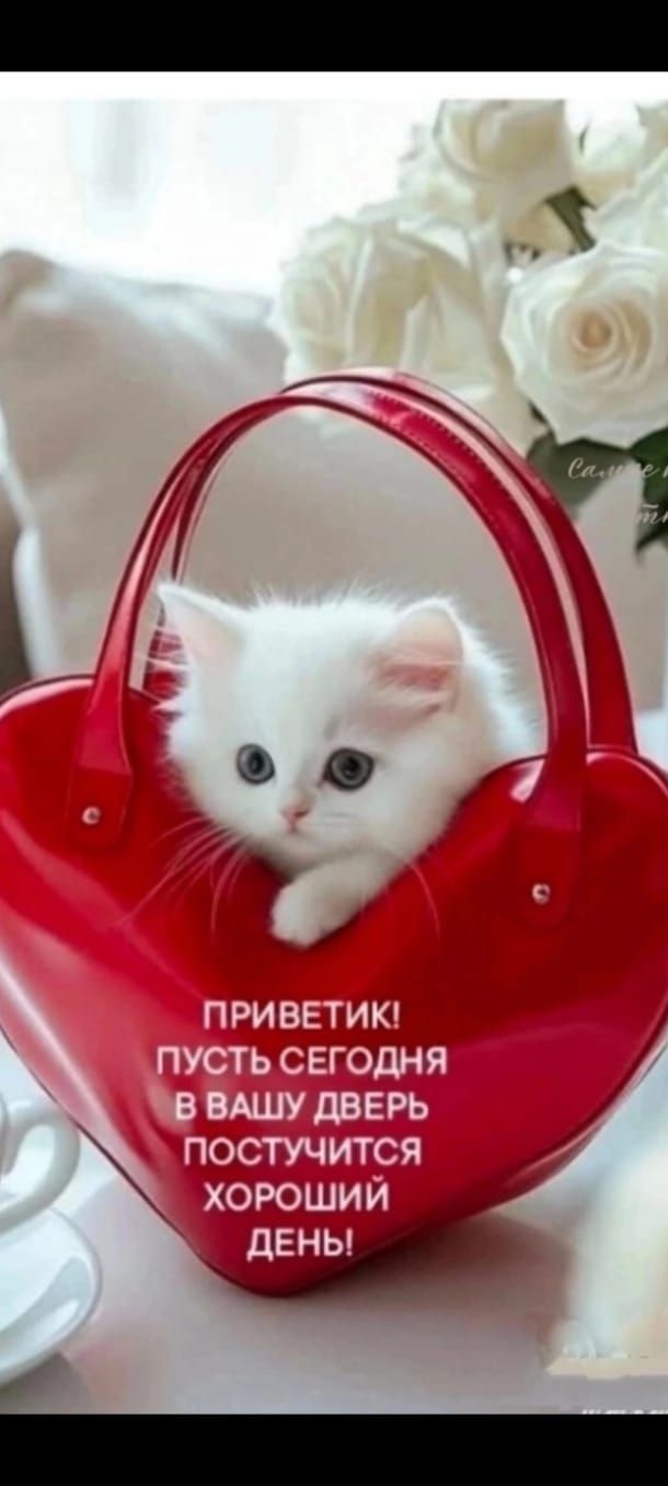 ПРИВЕТИК! ПОУТЬ СЕГОДНЯ В ВАШУ ДВЕРЬ ПОСТУЧИТСЯ ХОРОШИЙ ДЕНЬ!