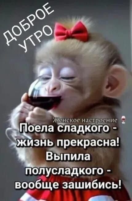 Доброе утро
Женское настроение
Поела сладкого - жизнь прекрасна! Выпила полусладкого - вообще зашибись!