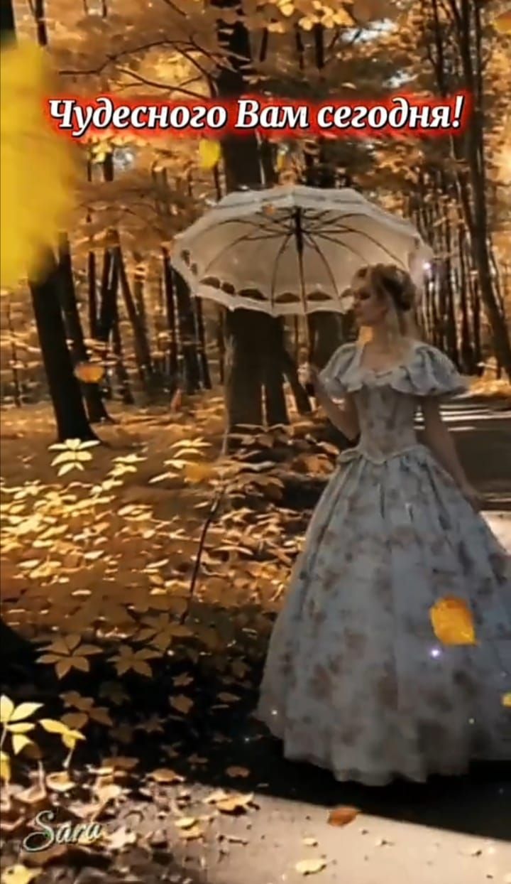 Чудесного Вам сегодня!