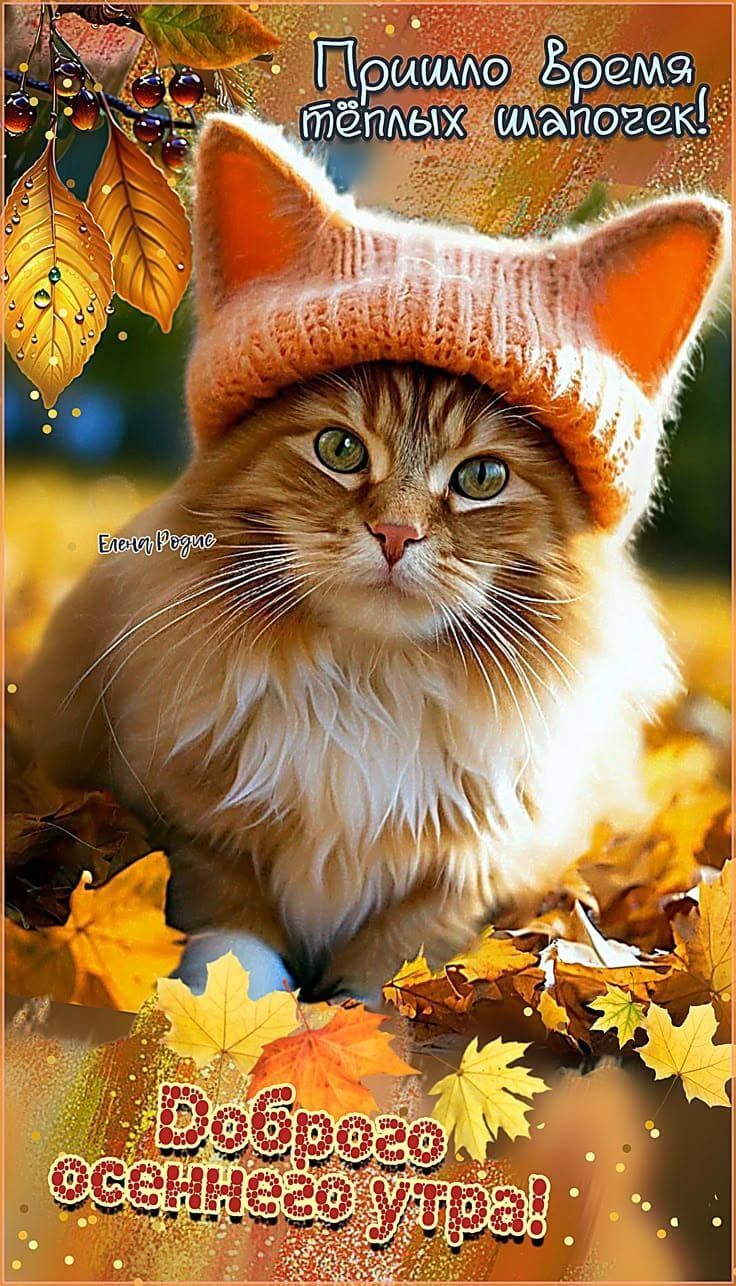 Пришло время тёплых шапогек!
Доброе осеннего утра!