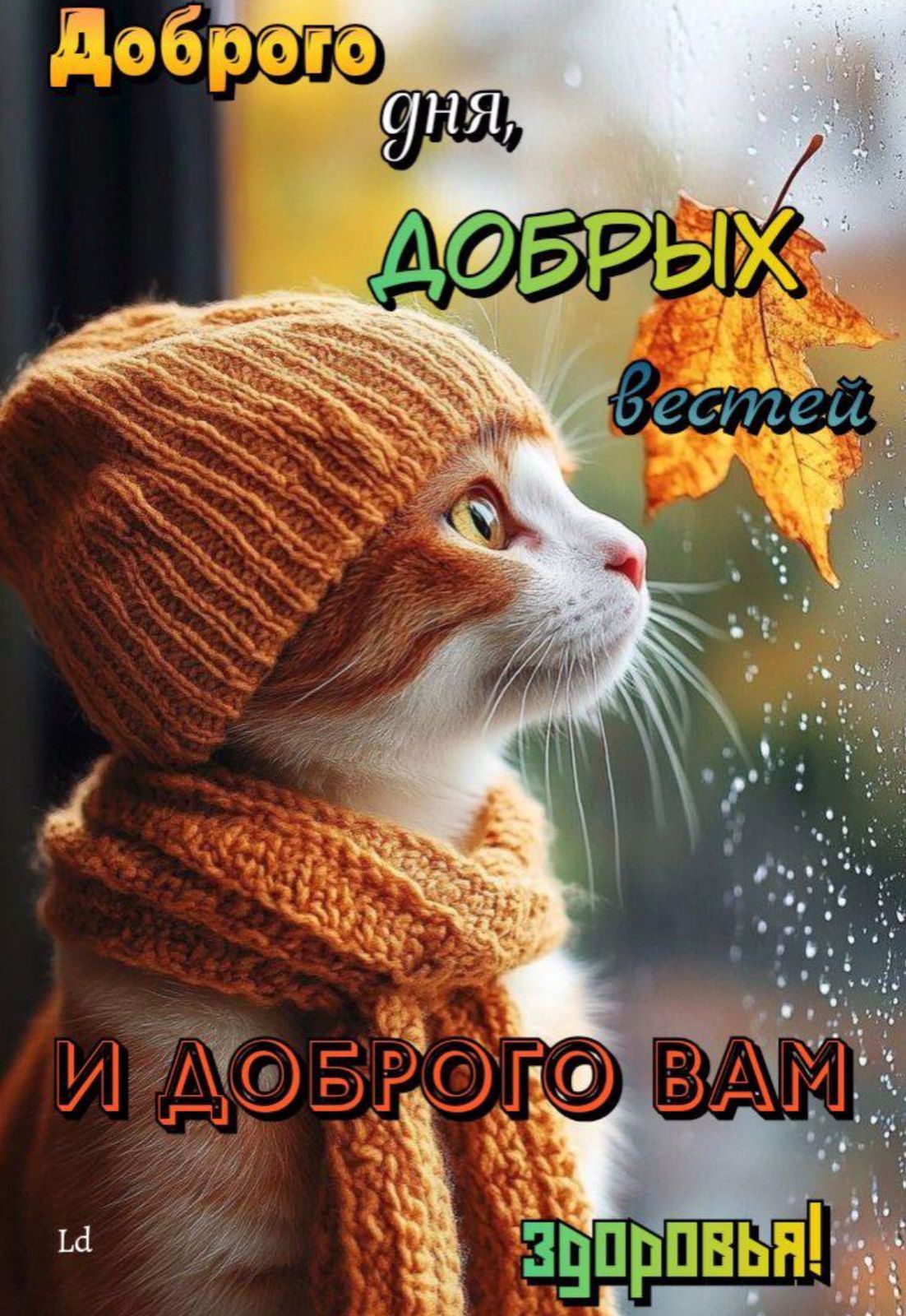 Доброго дня, ДОБРЫХ вестей И ДОБРОГО ВАМ ЗДОРОВЬЯ!