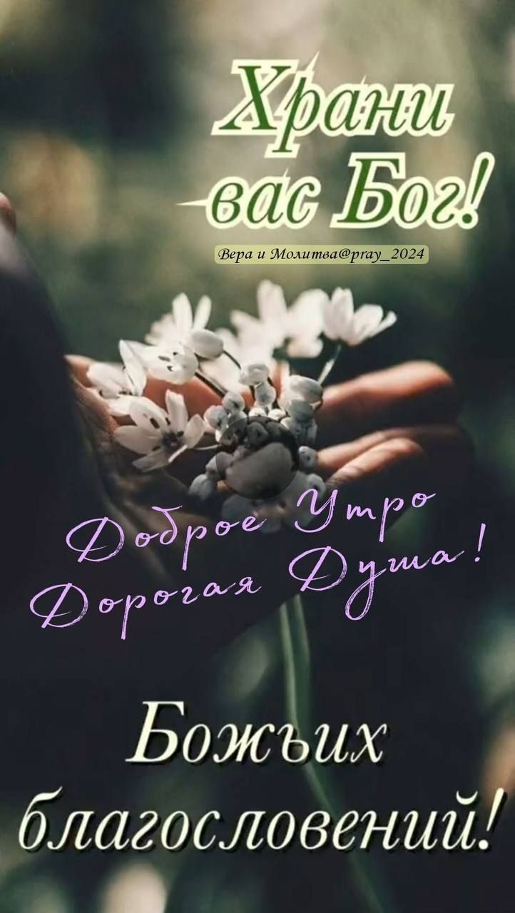 Храни вас Бог! Доброе утро, Дорогая Душа! Божьих благословений!
