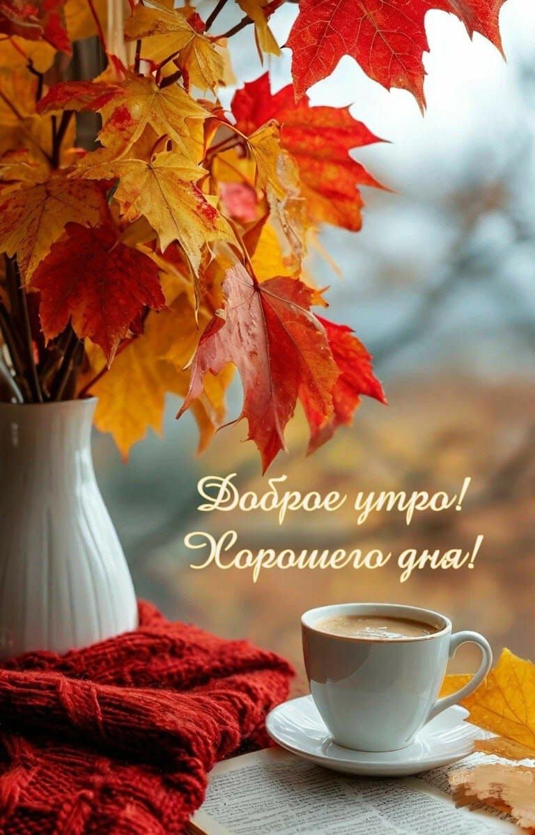 Доброе утро! Хорошего дня!