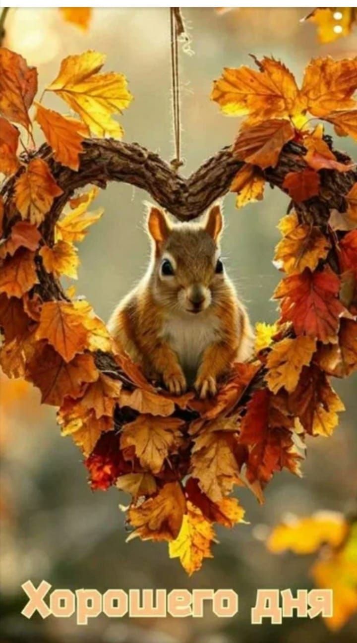 Хорошего дня