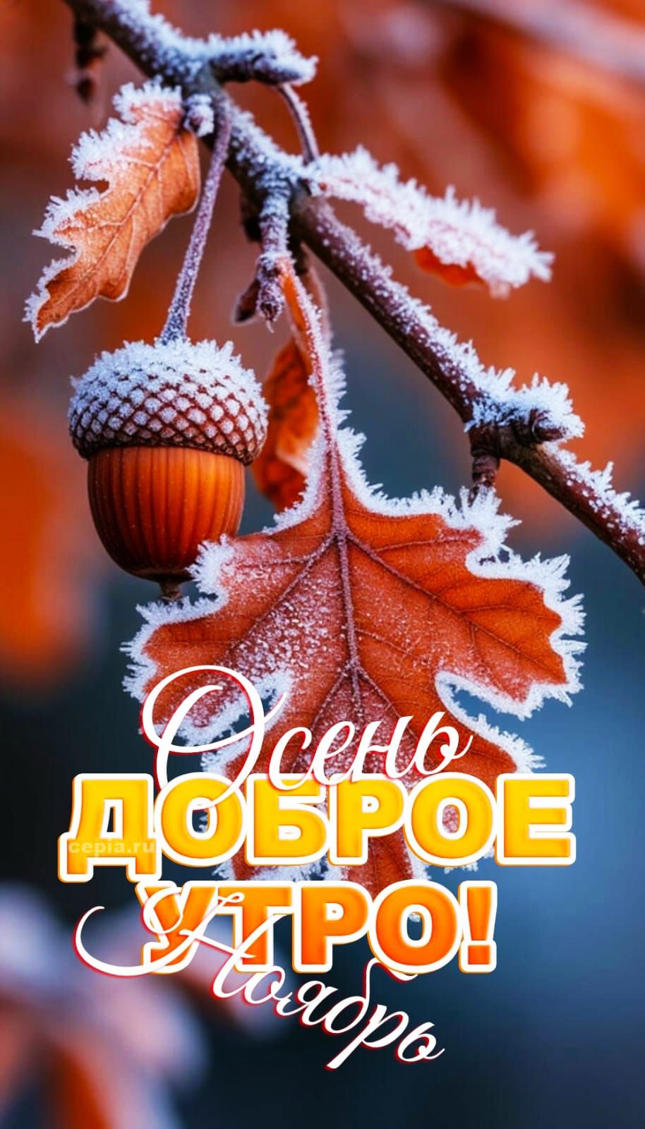 Осень доброе утро! Подбор