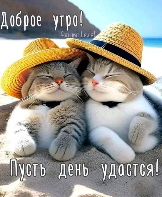 Доброе утро! Пусть день удастся!