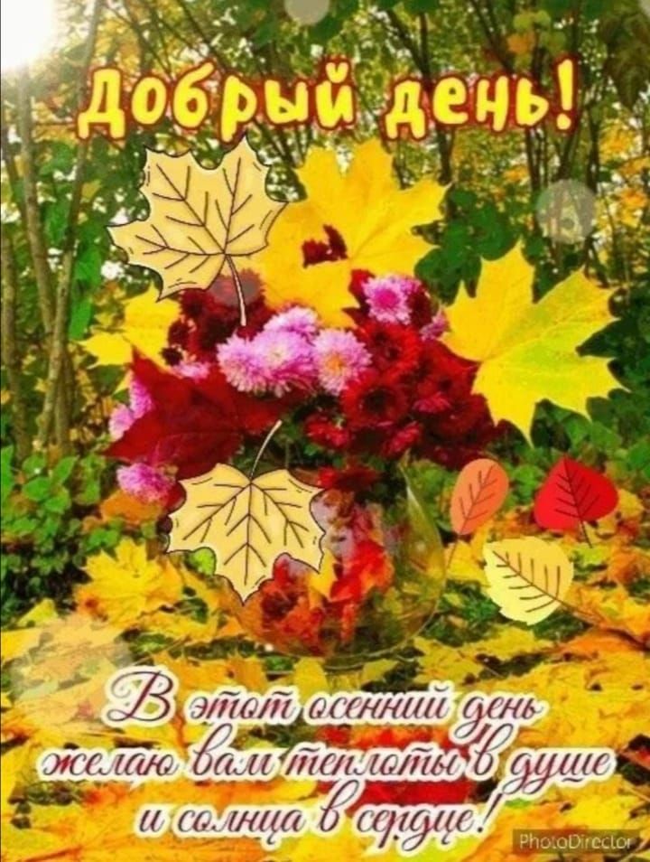 Добрый день! В этот осенний день желаю вам теплотЫ в душе и солнца в сердце!