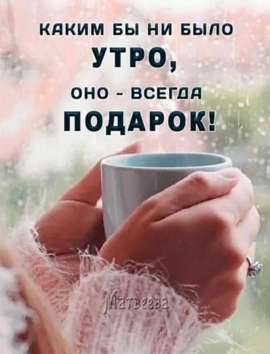 Каким бы ни было утро, оно - всегда подарок!