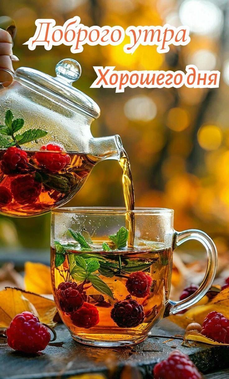 Доброе утро\nХорошего дня