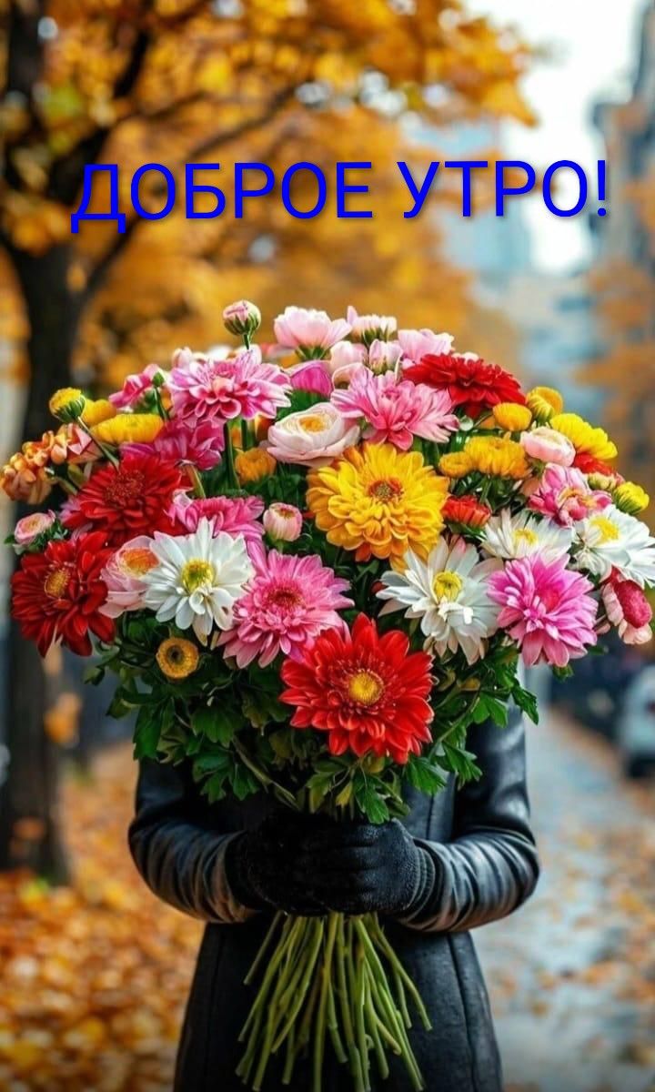 ДОБРОЕ УТОРО!