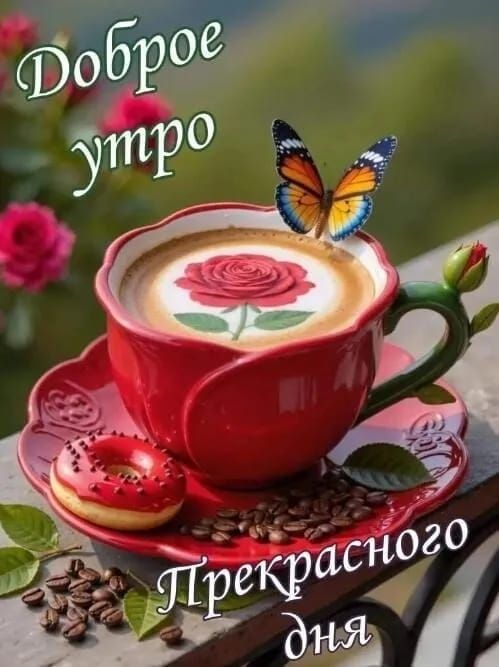 Доброе утро. Прекрасного дня.