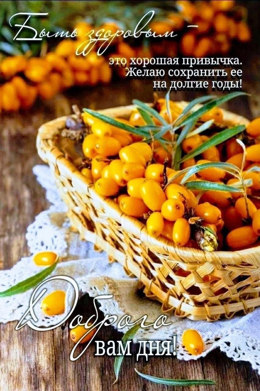 Будьте здоровы — это хорошая привычка. Желаю сохранить ее на долгие годы! Доброе вам дня!