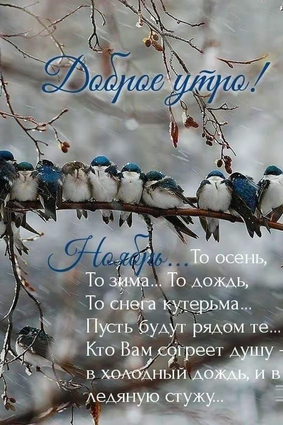 Доброе утро!
Надёж... То осень, То зима.. То дождь, То снег кутерьма... Пусть будут рядом те, Кто Вам согреет душу - в холодный дождь, и в ледяную стужу...