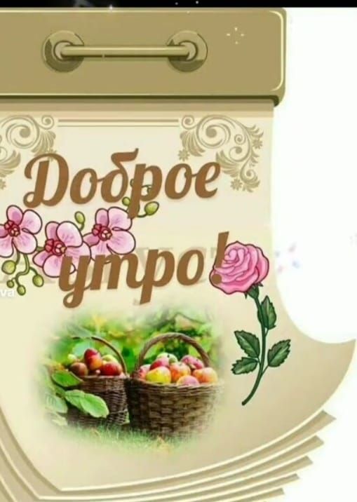 Доброе утро