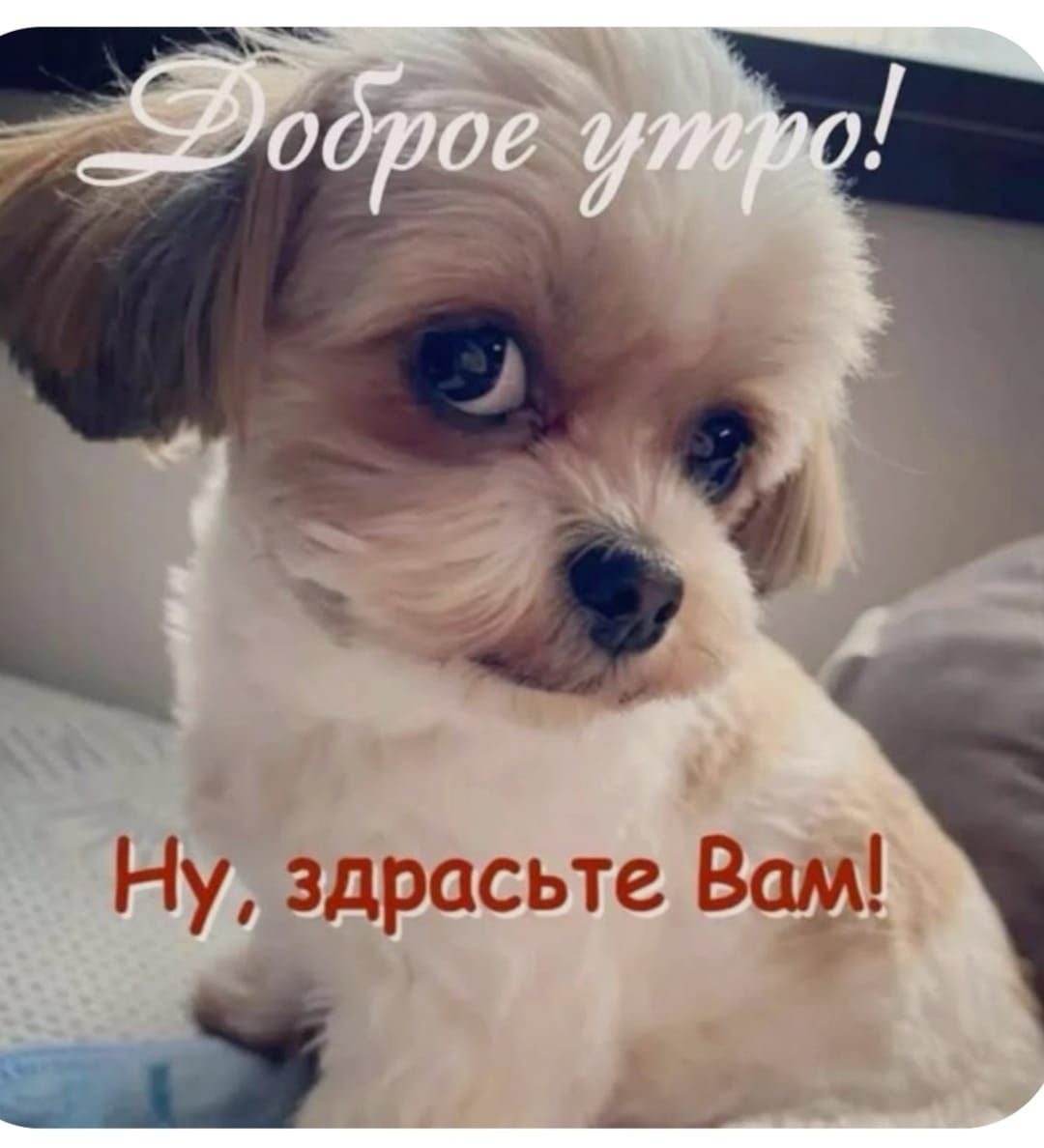 Доброе утро! Ну, здрасте Вам!