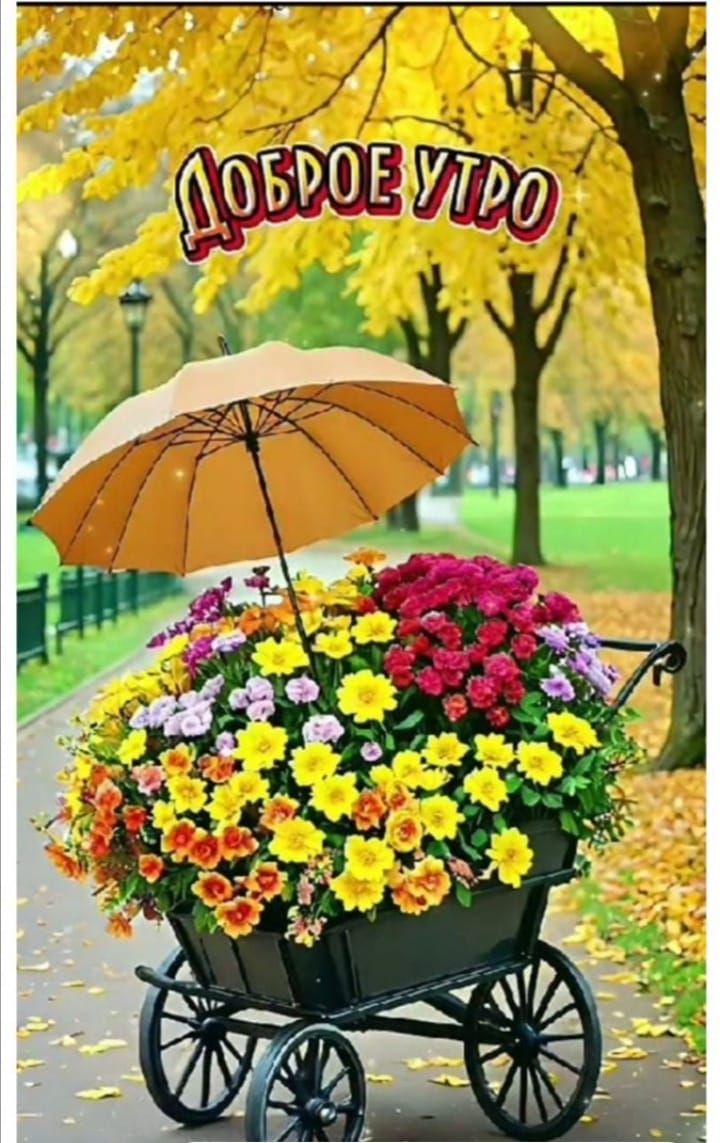 Доброе утро