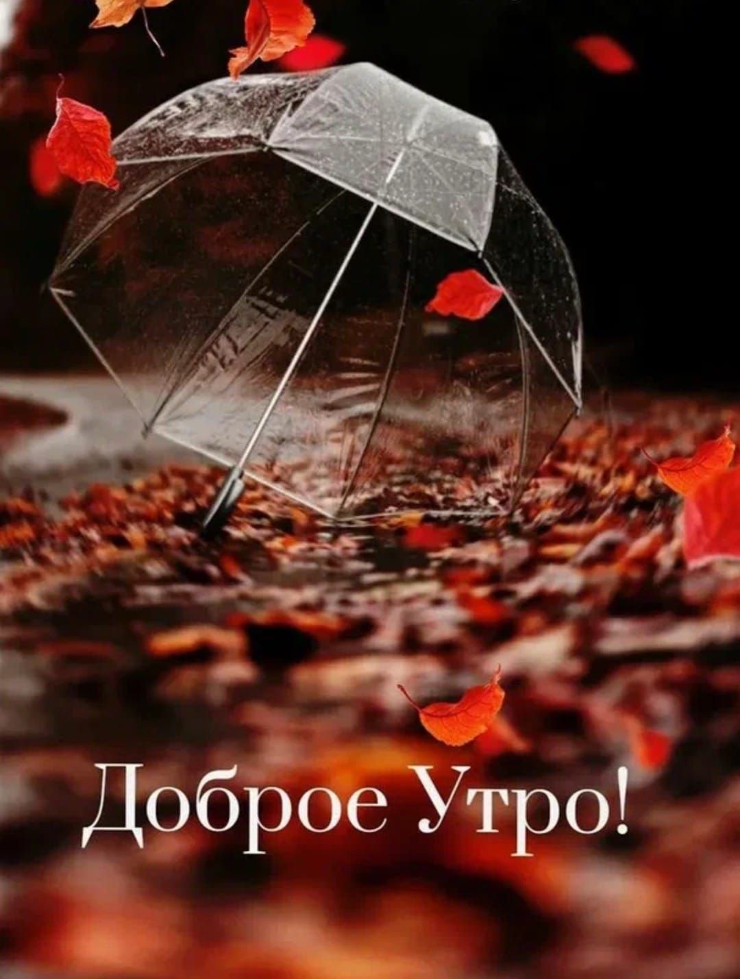 Доброе Утро!