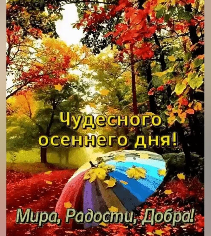 Чудесного осеннего дня! Мира, Радости, Добра!