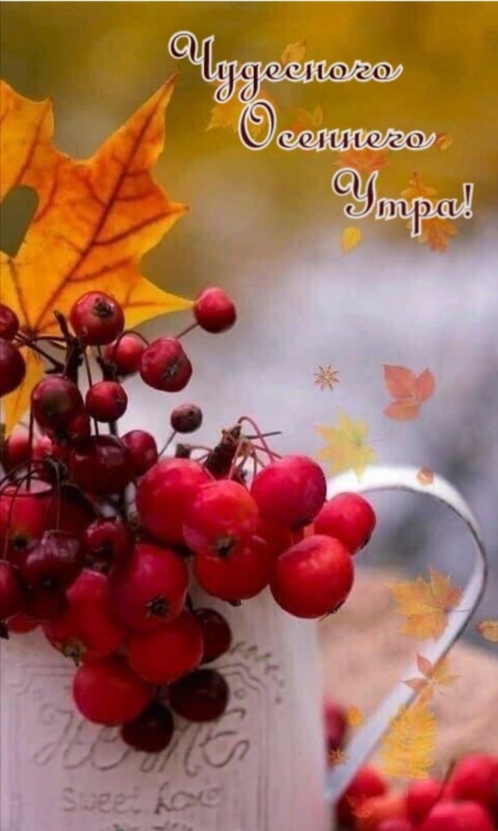 Чудесного Осеннего Утра!