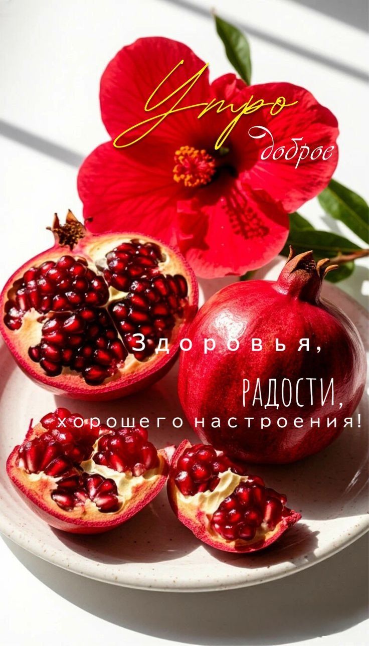 Утро доброе. Здоровья, радости, хорошего настроения!