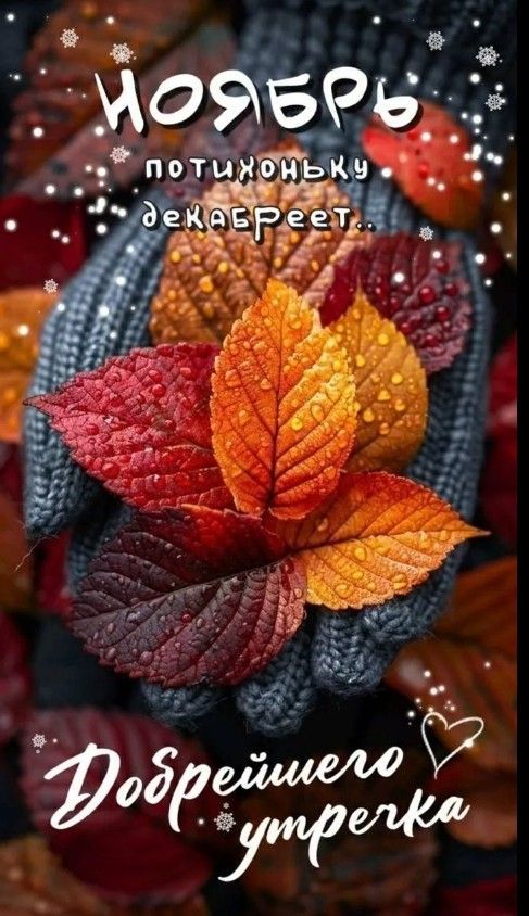 Ноябрь потихоньку декабреит.. Добрейшего утречка