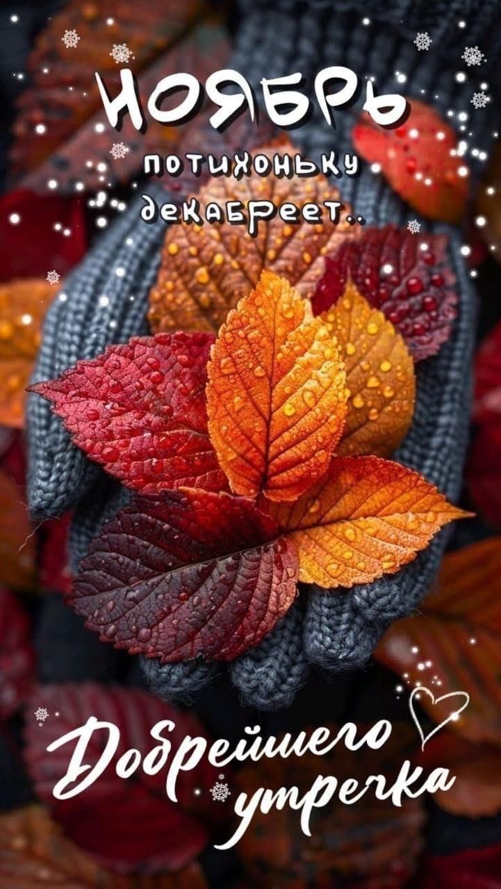 НОЯБРЬ ПОТИХОНЬКУ ДЕКАБРЕЕТ.. Добрейшего утречка
