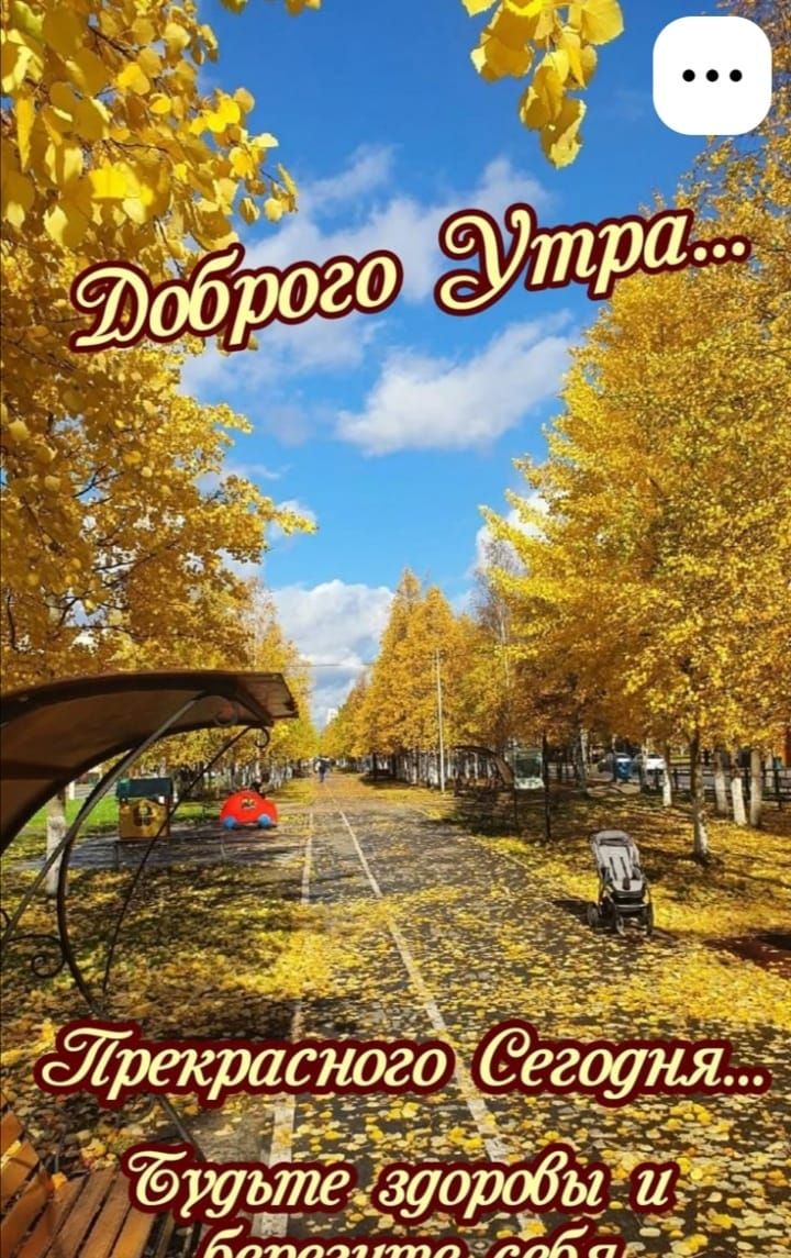 Доброе Утро... Прекрасного Сегодня... Будьте здоровы и берегите себя