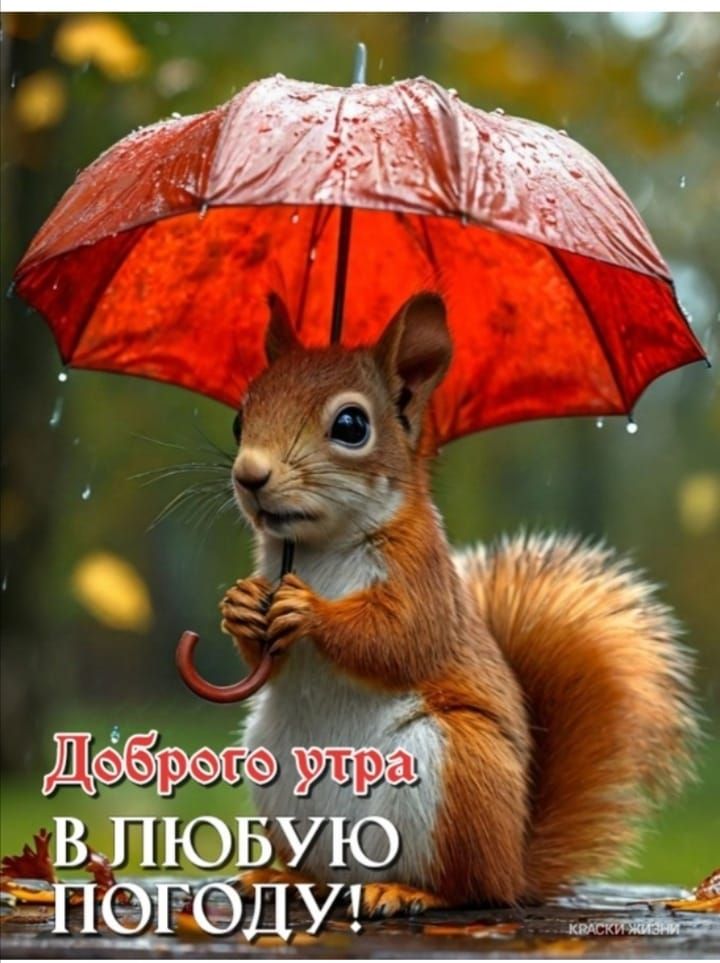 Доброе утро В ЛЮБУЮ ПОГОДУ!