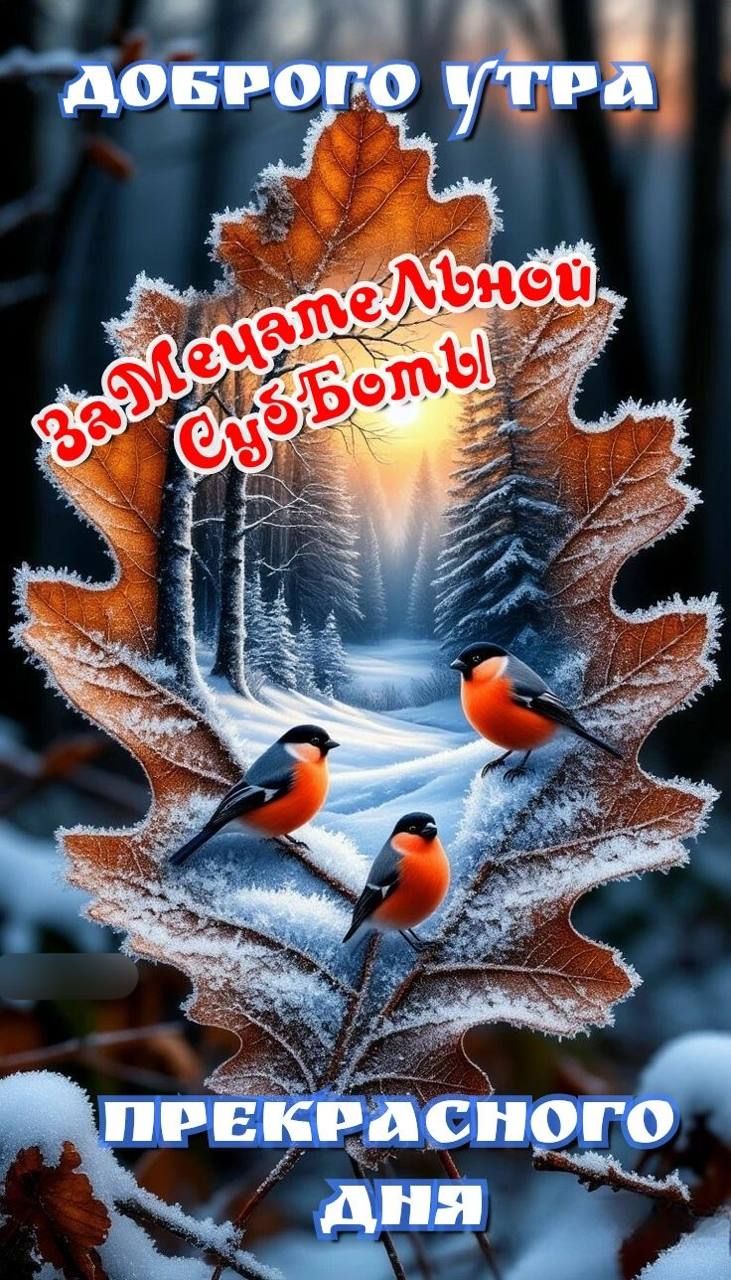 Доброе утро
Замечательной субботы
Прекрасного дня