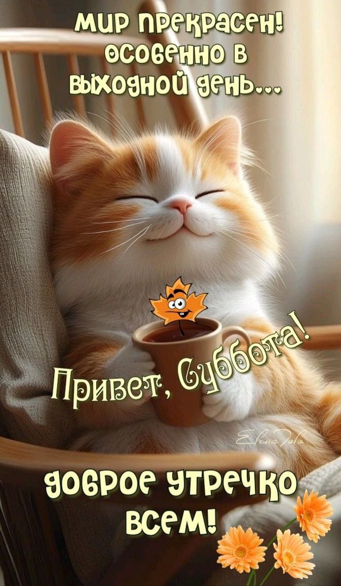 мир прекрасен! особенно в выходной день... Привет, суббота! доброе утречко всем!