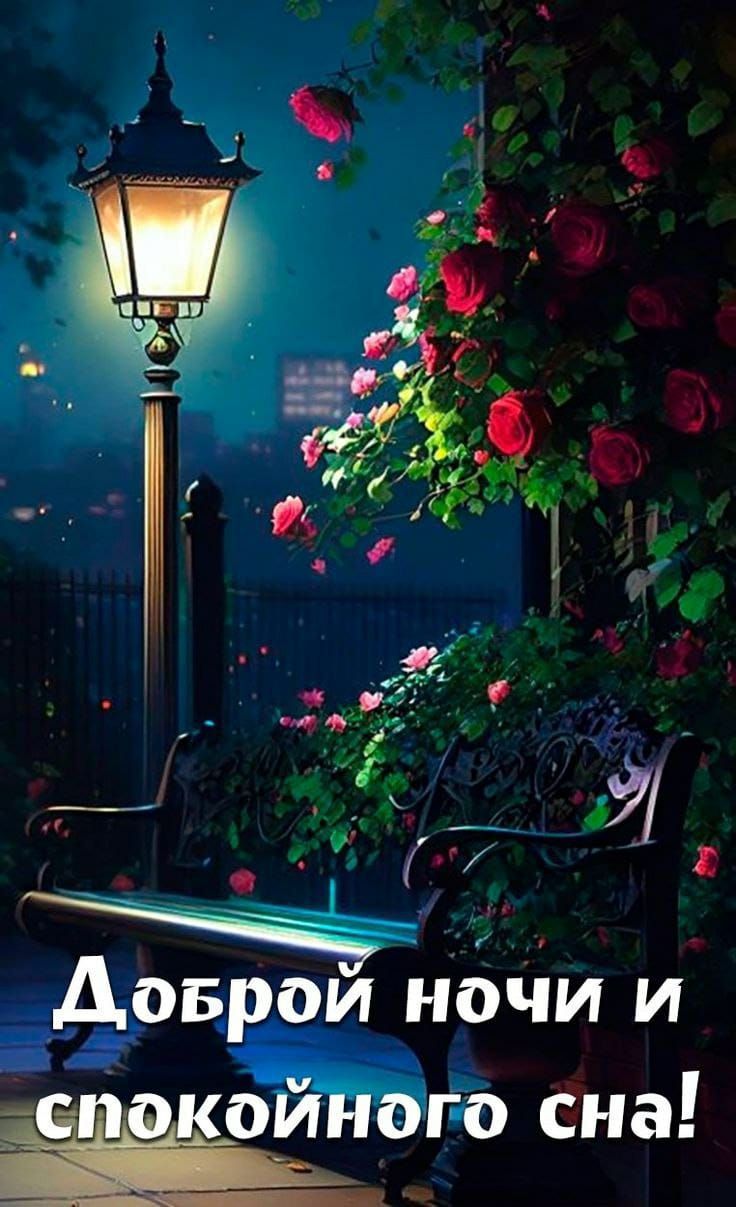 Доброй ночи и спокойного сна!