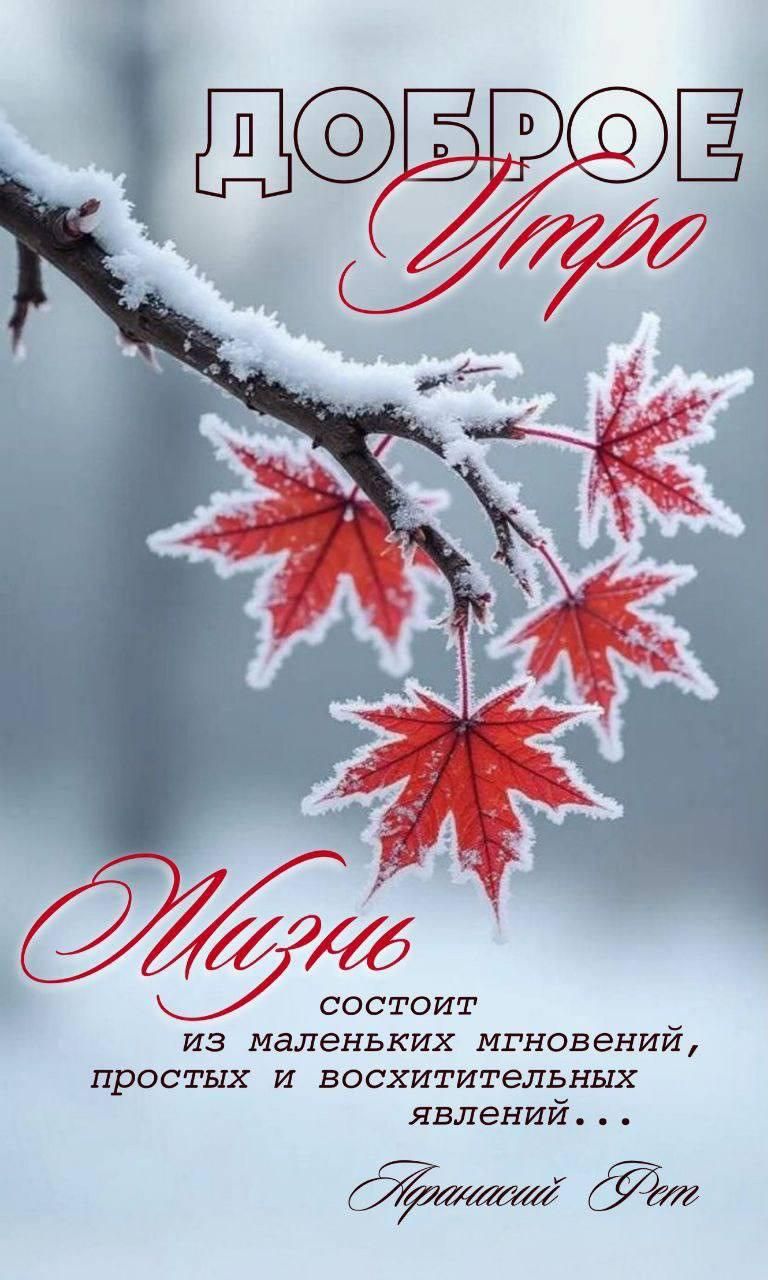 Доброе утро
Жизнь состоит из маленьких мгновений, простых и воспитательных явлений…