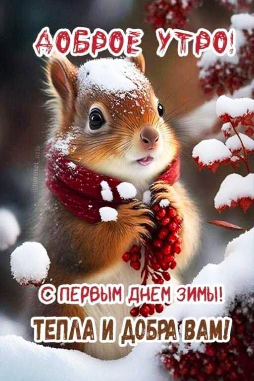 ДОБРОЕ УТРО! С ПЕРВЫМ ДНЕМ ЗИМЫ! ТЕПЛА И ДОБРА ВАМ!