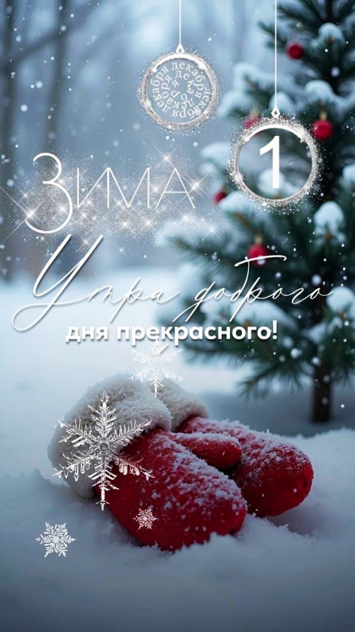 ЗИМА 1 День прекрасного!