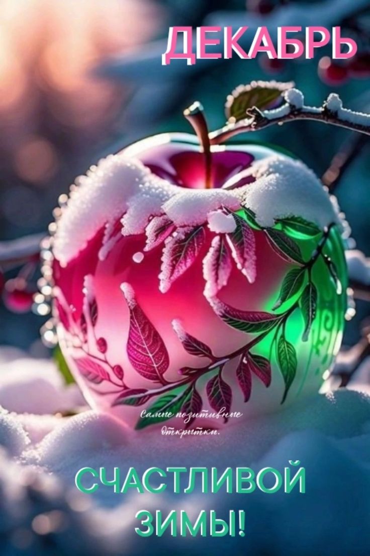 ДЕКАБРЬ
СЧАСТЛИВОЙ ЗИМЫ!