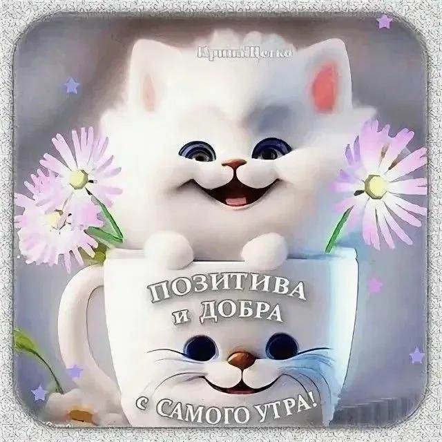 ПОЗИТИВА И ДОБРА С САМОГО УТРА!
