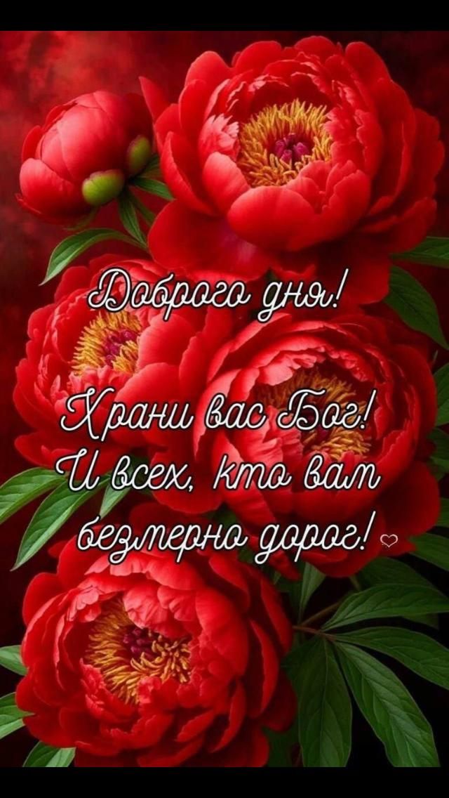 Доброго дня! Храни вас Бог! И всех, кто вам безмерно дорог!