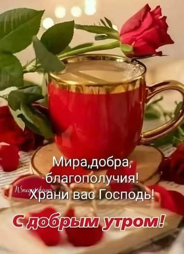 Мира, добра, благополучия! Храни вас Господь! С добрым утром!