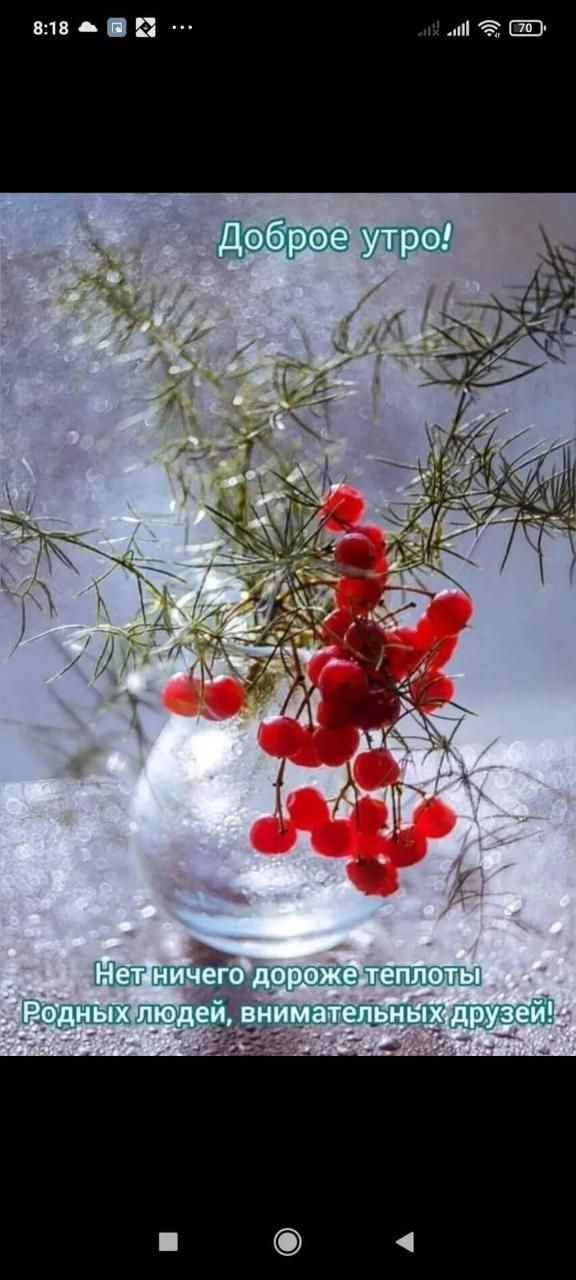 Доброе утро! Нет ничего дороже теплотЫ Родных людей, внимательных друзей!