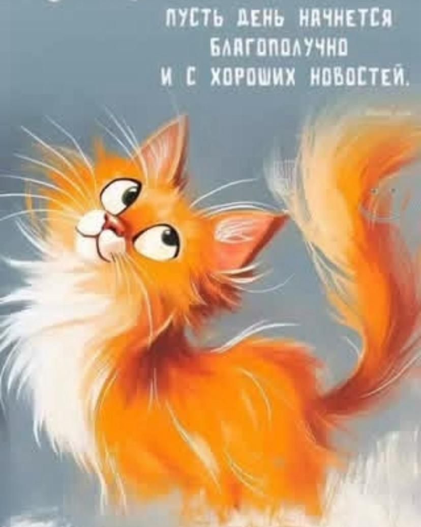 пусть день начнется благополучно и с хороших новостей.