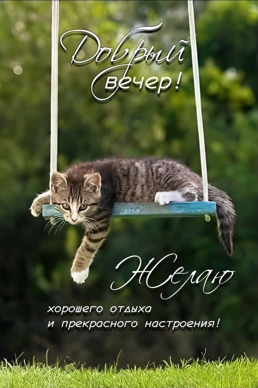 Добрый вечер! Желаю хорошего отдыха и прекрасного настроения!