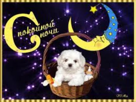 Спокойной ночи