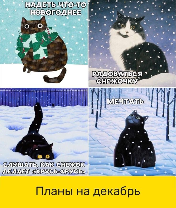 НАДЕТЬ ЧТО-ТО НОВОГОДНЕЕ
РАДОВАТЬСЯ СНЕЖОЧКУ
СЛУШАТЬ, КАК СНЕЖОК ДЕЛАЕТ «ХРУС-ХРУС»
МЕЧТАТЬ
ПЛАНЫ НА ДЕКАБРЬ