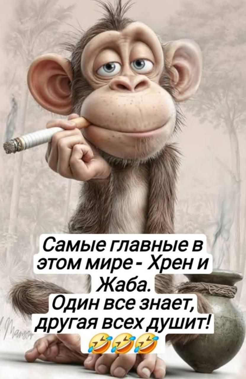 Самые главные в этом мире - Хрени и Жаба. Один все знает, другая всех душит!😂🤣